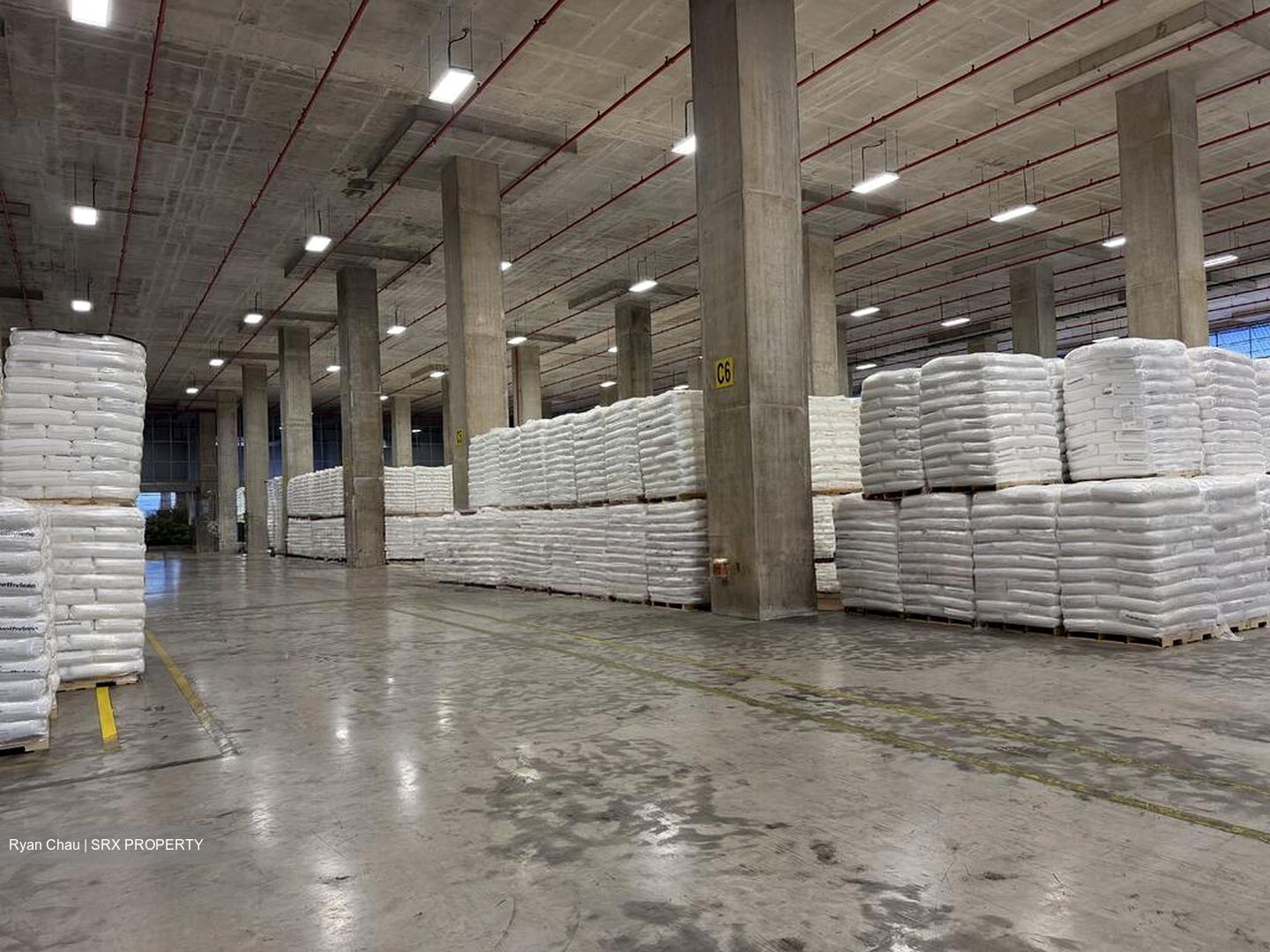 Benoi Crescent (D22), Warehouse #523597371
